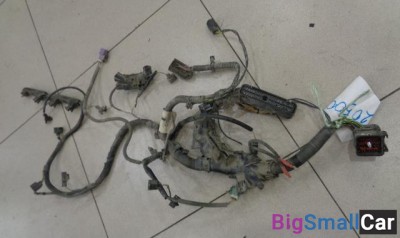 Проводка подкапотная от Ford Fiesta 2008-2017 - купить Адлере