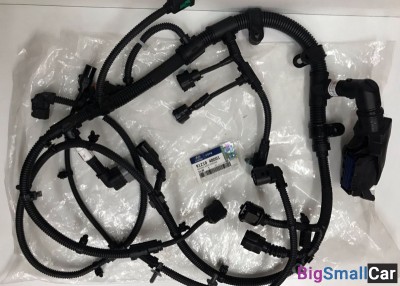 Проводка двигателя D4GA HD78 - купить Адлере