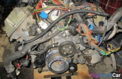 Проводка двигателя (61 Общее э/оборудование автомобиля) 12531440315